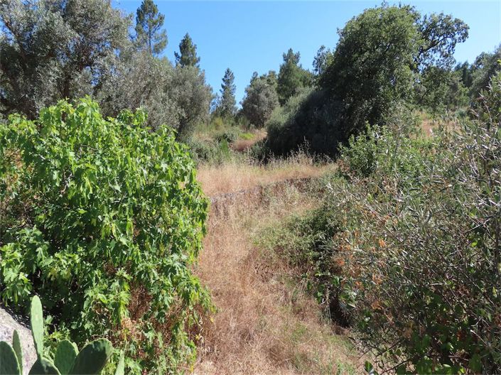 Image No.27-Property for sale