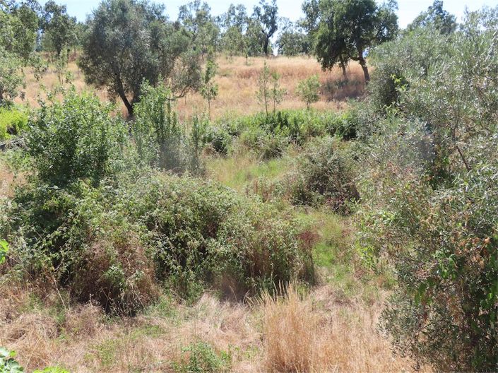 Image No.28-Property for sale