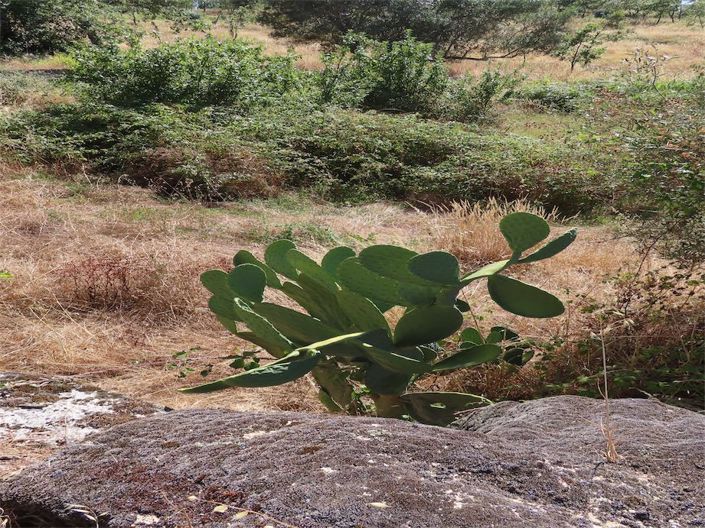 Image No.29-Property for sale