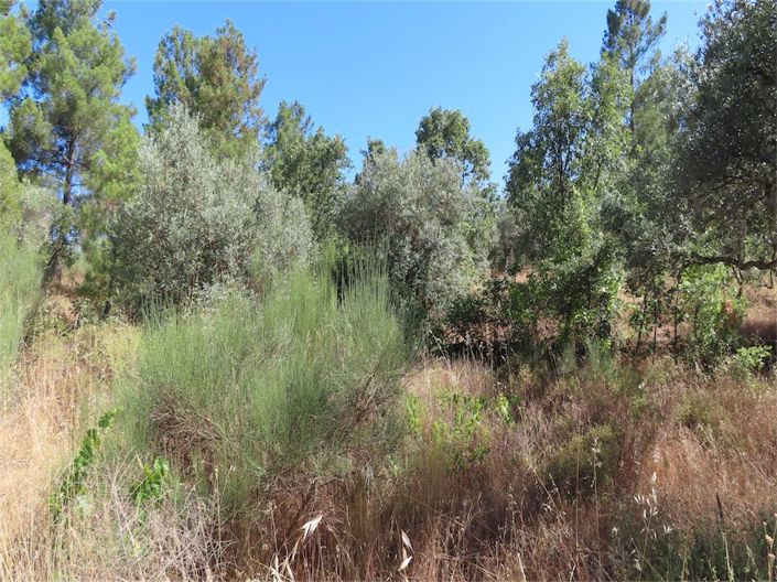 Image No.35-Property for sale