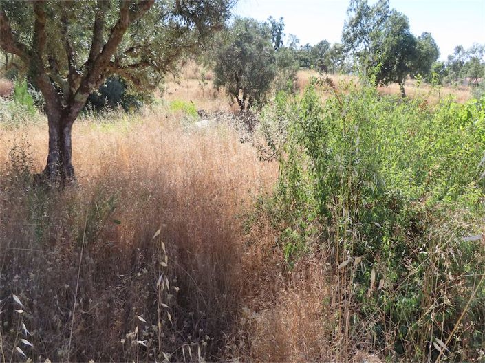 Image No.36-Property for sale