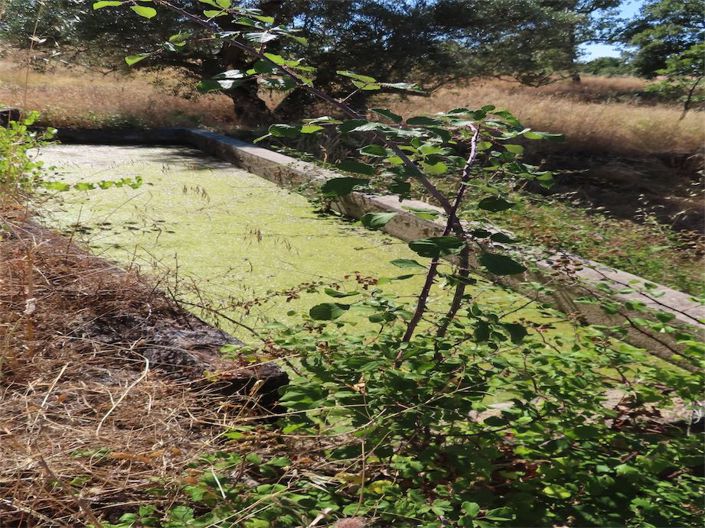 Image No.4-Property for sale