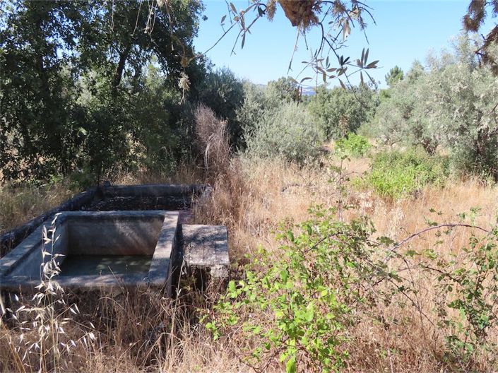 Image No.46-Property for sale