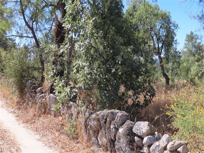 Image No.7-Property for sale