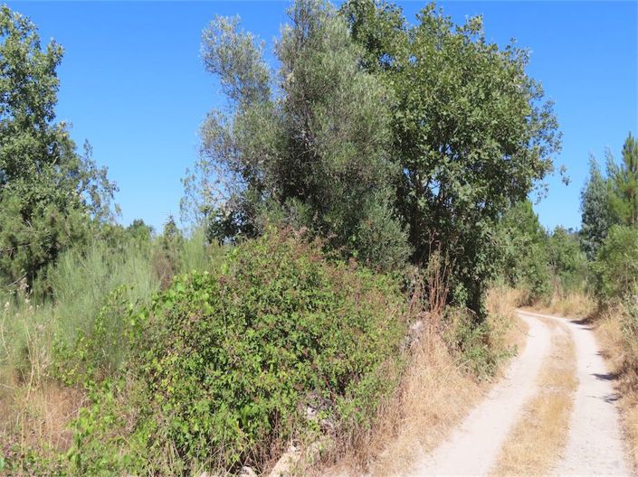 Image No.8-Property for sale