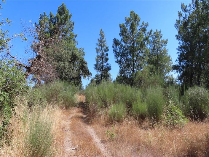 Image No.9-Property for sale