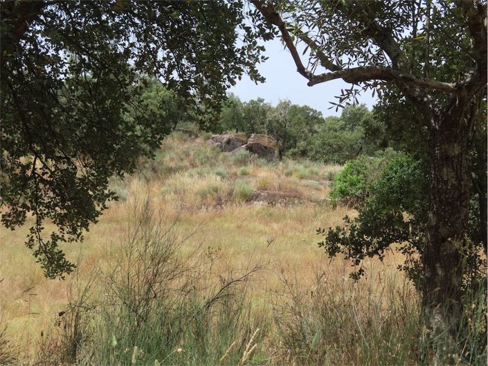 Image No.10-Property for sale