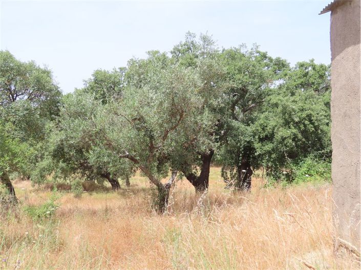 Image No.14-Property for sale