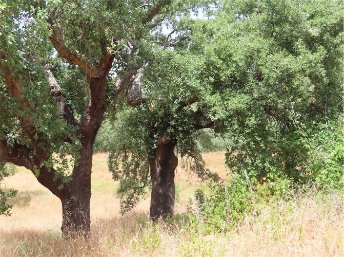 Image No.17-Property for sale