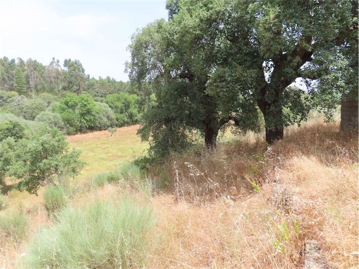 Image No.18-Property for sale