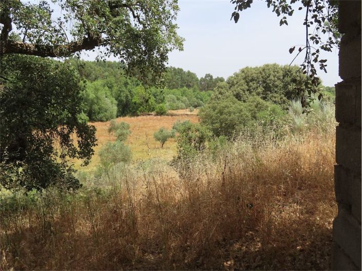 Image No.22-Property for sale