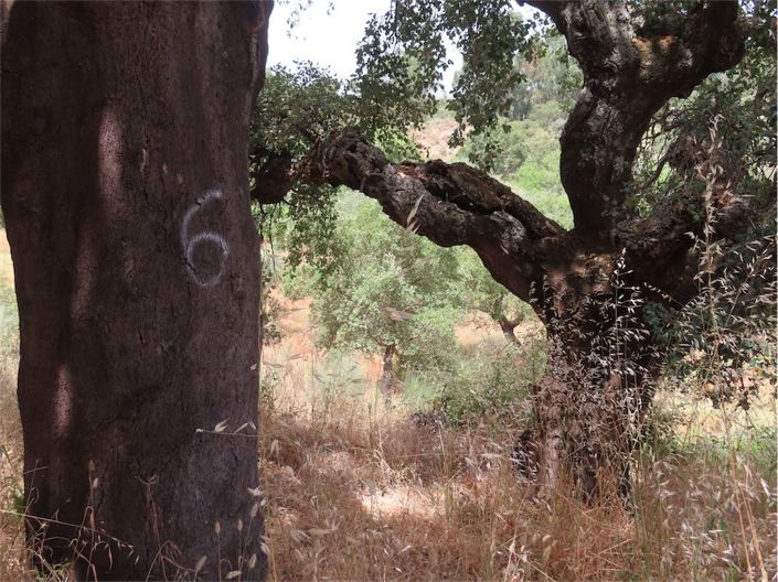 Image No.23-Property for sale