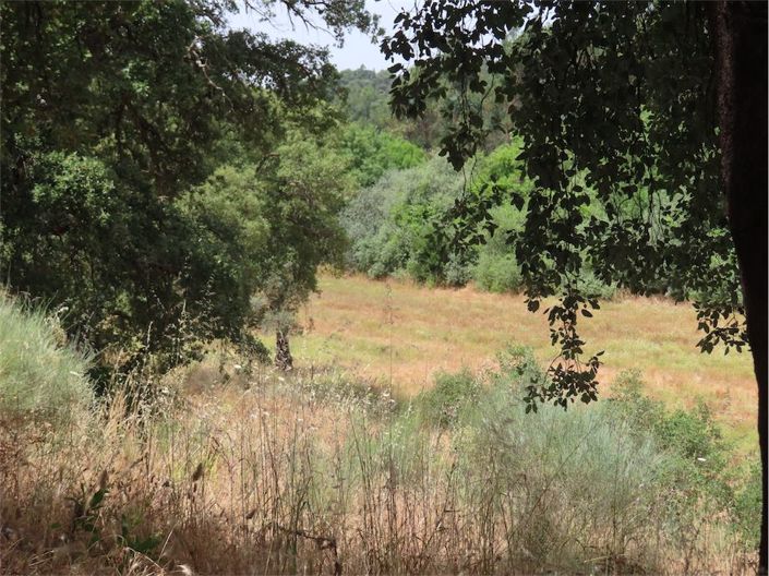 Image No.24-Property for sale