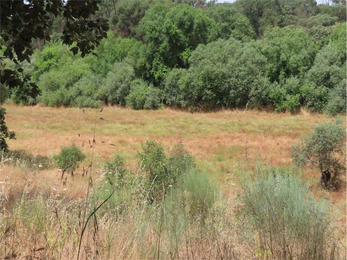 Image No.25-Property for sale