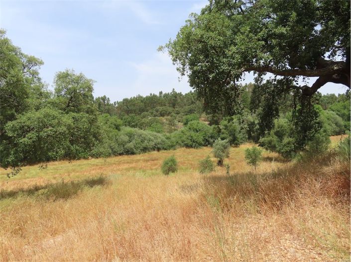 Image No.27-Property for sale