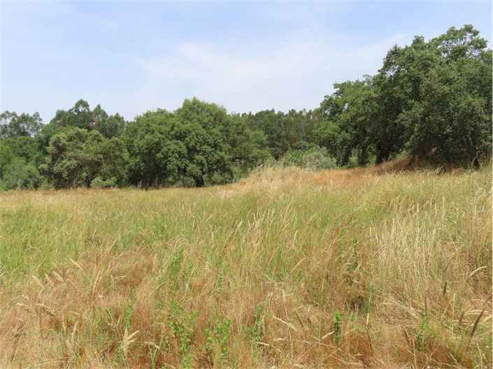 Image No.29-Property for sale