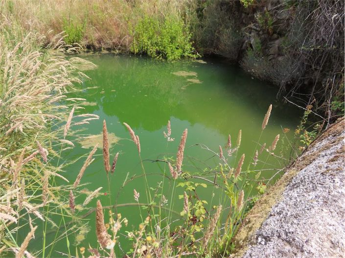 Image No.31-Property for sale