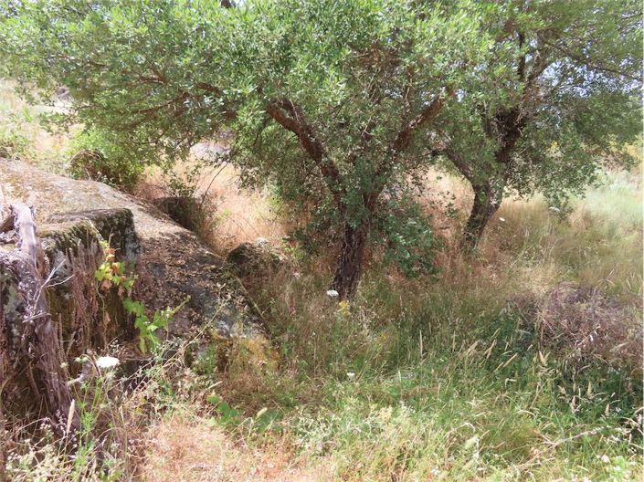 Image No.32-Property for sale