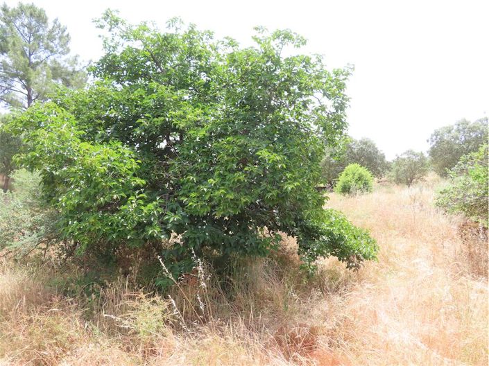 Image No.34-Property for sale