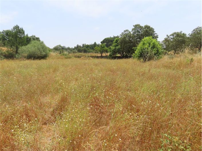 Image No.36-Property for sale