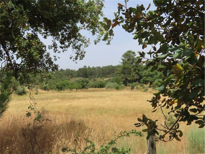 Image No.40-Property for sale