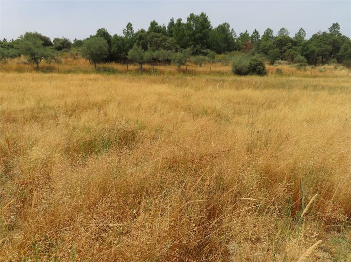 Image No.5-Property for sale