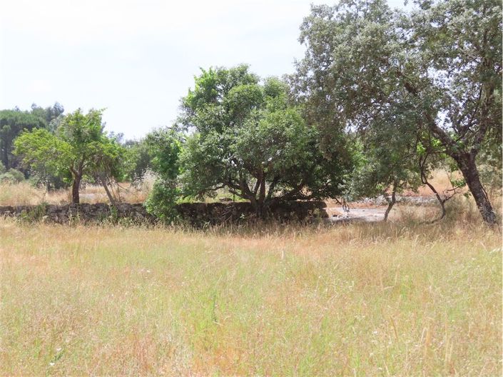 Image No.8-Property for sale