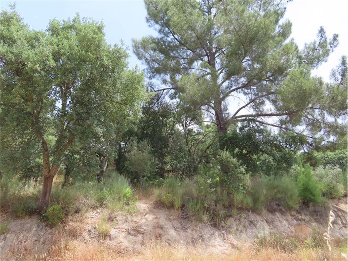 Image No.9-Property for sale