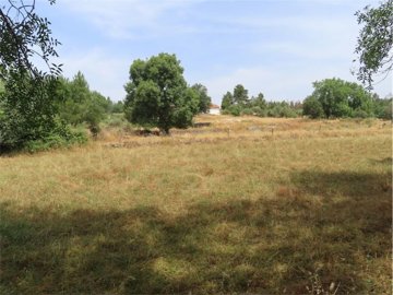 img7089