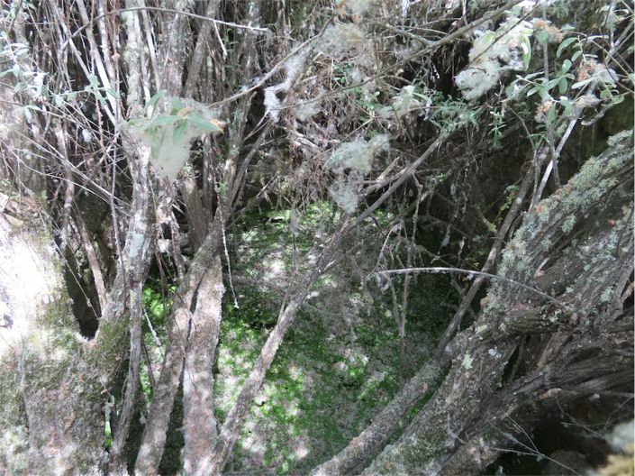 Image No.23-Property for sale