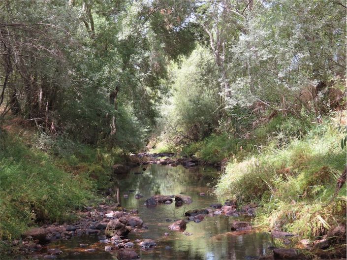 Image No.36-Property for sale