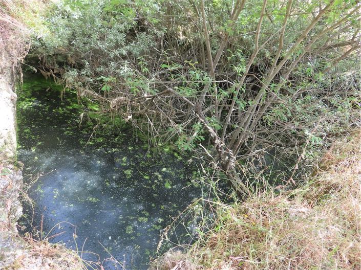 Image No.5-Property for sale