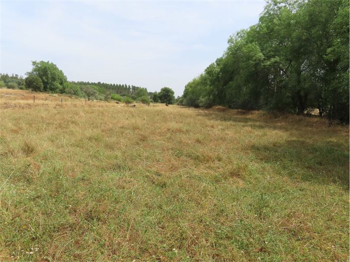 Image No.9-Property for sale