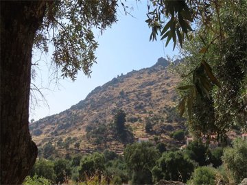 img7491