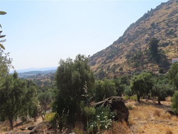 img7494