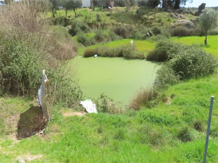 Image No.2-Property for sale