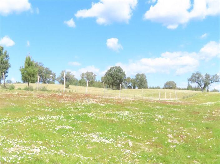 Image No.22-Property for sale