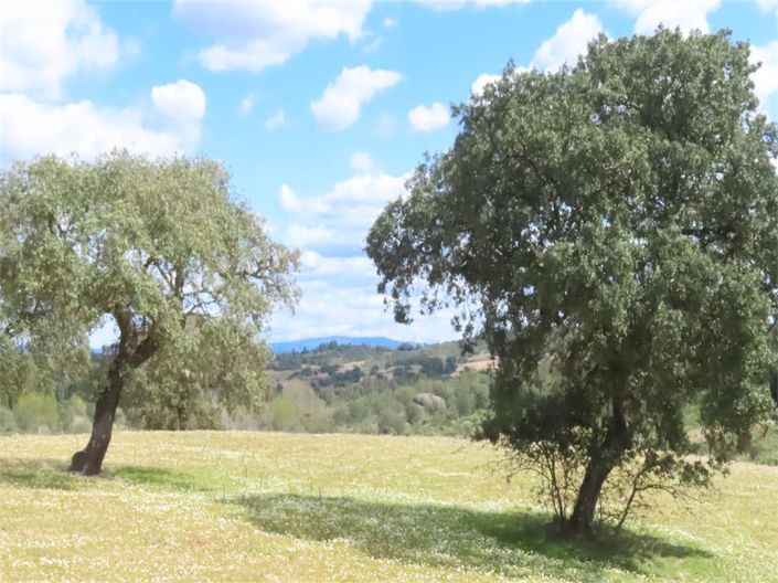 Image No.23-Property for sale