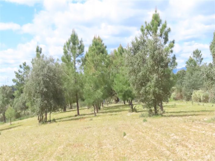 Image No.24-Property for sale