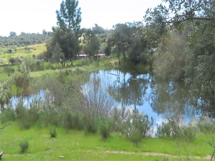 Image No.29-Property for sale