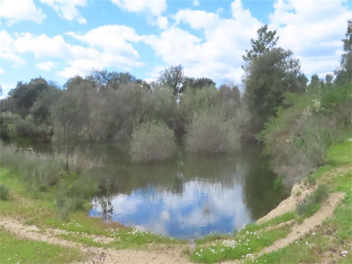 Image No.30-Property for sale