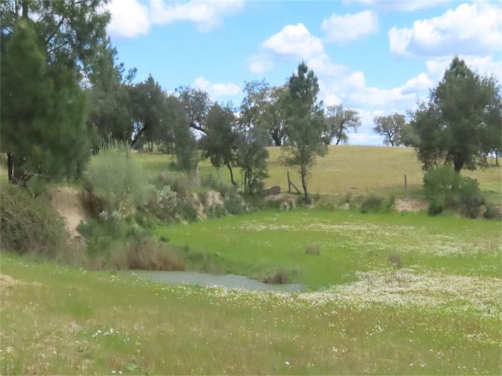 Image No.33-Property for sale