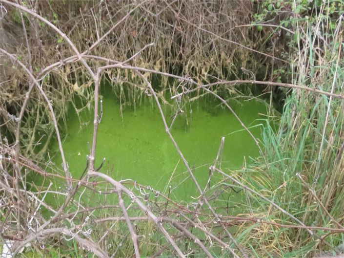 Image No.40-Property for sale