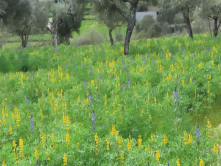 Image No.45-Property for sale