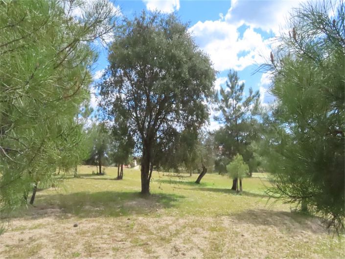 Image No.48-Property for sale