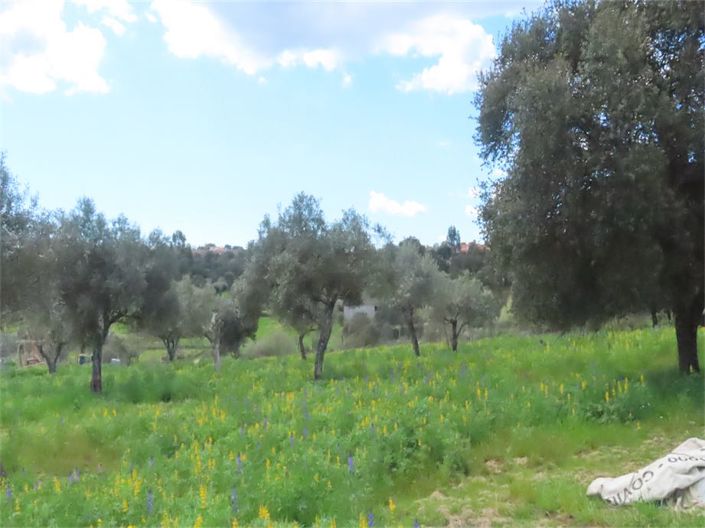 Image No.49-Property for sale