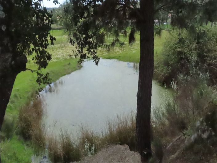 Image No.5-Property for sale