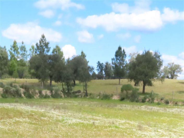 Image No.50-Property for sale