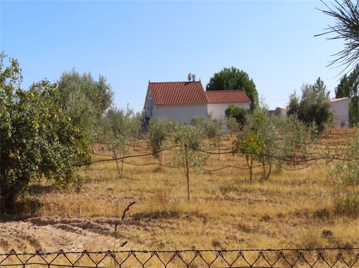 Image No.1-Property for sale