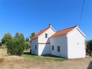 img9254